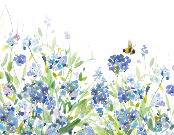 Forget Me Not Aesthetics