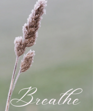 Book an Appointment with Analisa Talaban (Trotter) for Registered Massage Therapy