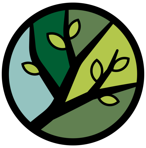 Branches Counselling Services