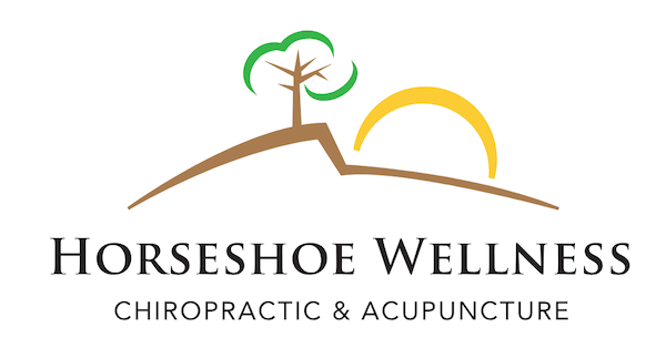 Horseshoe Wellness Chiropractic and Acupuncture