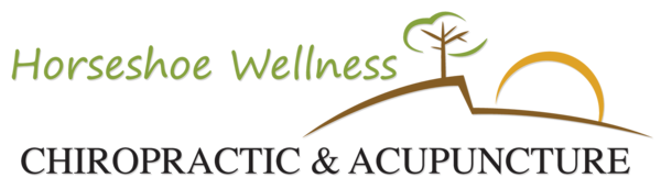 Horseshoe Wellness Chiropractic and Acupuncture