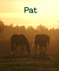 Book an Appointment with Pat Stuka for Counselling