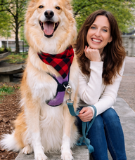 Book an Appointment with Allison Currier for Psychotherapy