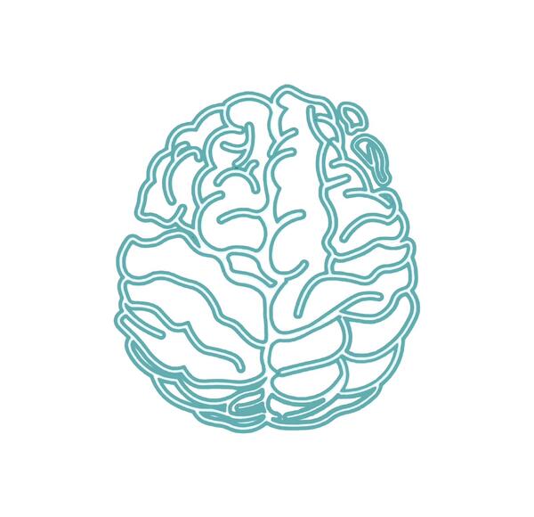 Neuro Diverge Physio